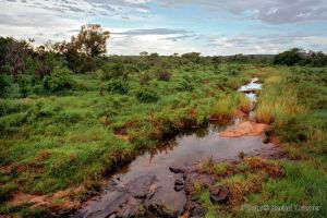 06_Landschaft_Suedafrika.jpg